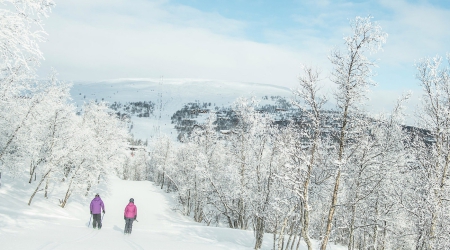 Wintersport Geilo